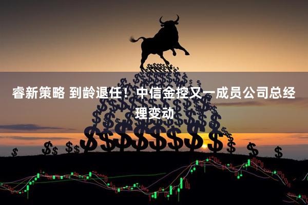 睿新策略 到龄退任！中信金控又一成员公司总经理变动